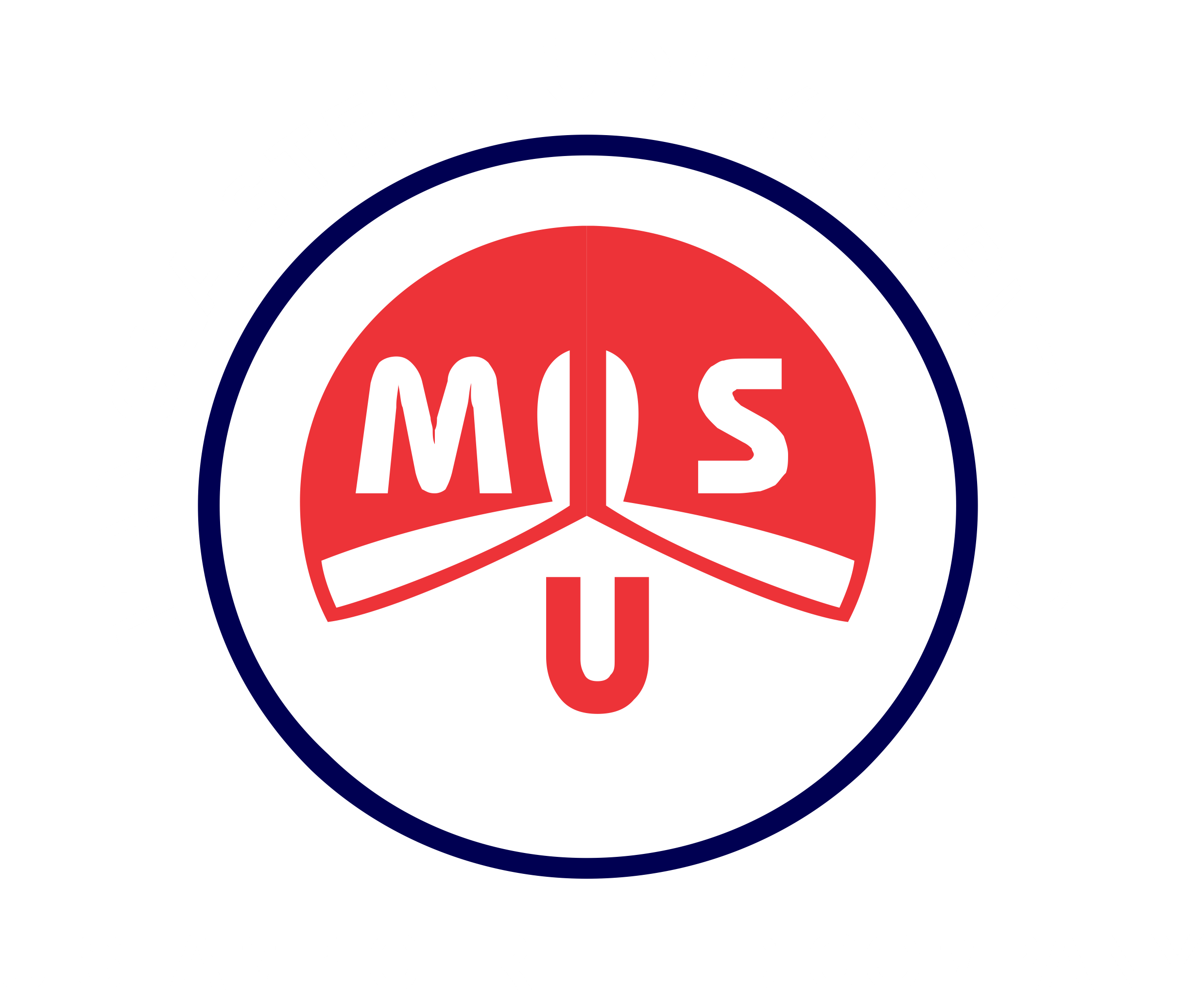 Mangla Steel Udhyog Pvt Ltd